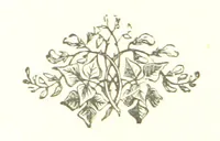 An illustration from The Land of the Hibiscus Blossom: a yarn of the Papuan Gulf ... With illustrations by the author (1888)