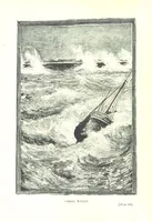 An illustration from The Land of the Hibiscus Blossom: a yarn of the Papuan Gulf ... With illustrations by the author (1888)