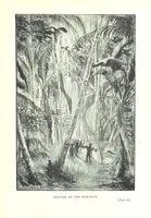 Picture 22 of 37 from The Land of the Hibiscus Blossom: a yarn of the Papuan Gulf ... With illustrations by the author (1888), leaf 161