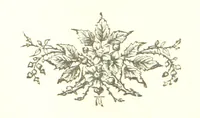 An illustration from The Land of the Hibiscus Blossom: a yarn of the Papuan Gulf ... With illustrations by the author (1888)