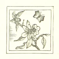 An illustration from The Land of the Hibiscus Blossom: a yarn of the Papuan Gulf ... With illustrations by the author (1888)