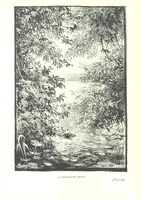 An illustration from The Land of the Hibiscus Blossom: a yarn of the Papuan Gulf ... With illustrations by the author (1888)