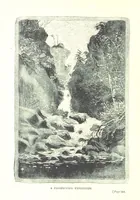 An illustration from The Land of the Hibiscus Blossom: a yarn of the Papuan Gulf ... With illustrations by the author (1888)