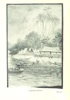 An illustration from The Land of the Hibiscus Blossom: a yarn of the Papuan Gulf ... With illustrations by the author (1888)