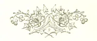 An illustration from The Land of the Hibiscus Blossom: a yarn of the Papuan Gulf ... With illustrations by the author (1888)