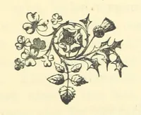 An illustration from Irish Pride. An unsocial tale of social life (1885)