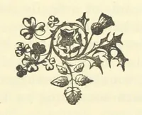 An illustration from Irish Pride. An unsocial tale of social life (1885)