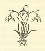 Picture 5 of 5 from Irish Pride. An unsocial tale of social life (1885), leaf 260