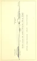 Picture 22 of 29 from A popular guide to the Geology of the Isle of Wight, with a note on its relation to that of the Isle of Purbeck ... Illustrated, etc (1887), leaf 147