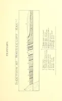 Picture 26 of 29 from A popular guide to the Geology of the Isle of Wight, with a note on its relation to that of the Isle of Purbeck ... Illustrated, etc (1887), leaf 175