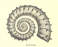 An illustration from A popular guide to the Geology of the Isle of Wight, with a note on its relation to that of the Isle of Purbeck ... Illustrated, etc (1887)
