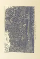 An illustration from The History of the French Revolution, 1789 to 1795; or a country without a God (1890)