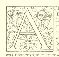 An illustration from Merciful or Merciless. [A novel (1886)