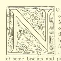 An illustration from Merciful or Merciless. [A novel (1886)