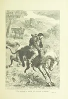 An illustration from Old English ballads. A collection of favourite ballads of the olden time, etc (1888)