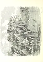 An illustration from On and off Duty, being leaves from an officer's notebook. ... With illustrations, etc (1881)