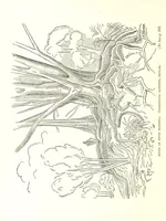 An illustration from On and off Duty, being leaves from an officer's notebook. ... With illustrations, etc (1881)