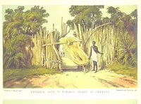 Picture 20 of 22 from Sketches of African Scenery, from Zanzibar to the Victoria Nyanza, being a series of coloured lithographic pictures, from sketches by ... T. O'Neill. (The larger part of the letterpress is from a journal kept by T. O'Neill.) (1878), leaf 37