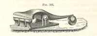 Picture 220 of 265 from A Treatise on Metallurgy; comprising mining, and general and particular metallurgical operations, etc (1852), leaf 624