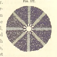 An illustration from A Treatise on Metallurgy; comprising mining, and general and particular metallurgical operations, etc (1880)