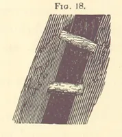 Picture 14 of 256 from A Treatise on Metallurgy; comprising mining, and general and particular metallurgical operations, etc (1880), leaf 68