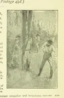 An illustration from Friend or Fortune? The story of a strange year, etc (1897)