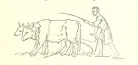 An illustration from Farming Implements, their various uses and recent modern improvements compared with the old machines. By F. D. P (1847)