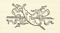 An illustration from The Writings of Thomas Paine. Collected and edited by M. D. Conway (1894)