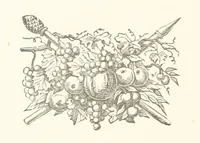 An illustration from The Inauguration of the George A. Clark Town Hall, Paisley, with ... illustrations, etc (1882)