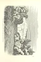An illustration from Pictorial Journey through the Holy Land; or, Scenes in Palestine. [Reprinted from the “Sunday at Home.” (1863)