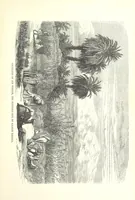 An illustration from Pictorial Journey through the Holy Land; or, Scenes in Palestine. [Reprinted from the “Sunday at Home.” (1863)
