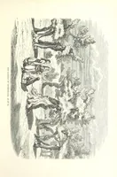 An illustration from Pictorial Journey through the Holy Land; or, Scenes in Palestine. [Reprinted from the “Sunday at Home.” (1863)