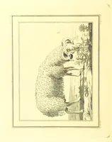 An illustration from Travels through the Southern Provinces of the Russian Empire in 1793 and 1794. Translated from the German [by F. W. Blagdon]. MS. notes (1812)