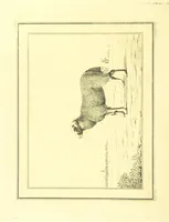 Picture 55 of 63 from Travels through the Southern Provinces of the Russian Empire in 1793 and 1794. Translated from the German [by F. W. Blagdon]. MS. notes (1812), leaf 576