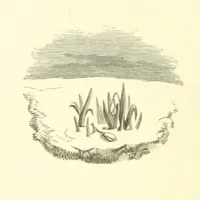 An illustration from Mottoes for Monuments, or Epitaphs selected for study or application ... Illustrated with designs by Flaxman and others (1872)