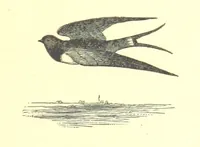 An illustration from Mottoes for Monuments, or Epitaphs selected for study or application ... Illustrated with designs by Flaxman and others (1872)