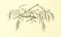 An illustration from Mottoes for Monuments, or Epitaphs selected for study or application ... Illustrated with designs by Flaxman and others (1872)