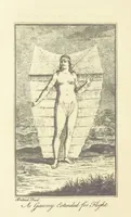 Picture 3 of 6 from The life and adventures of Peter Wilkins ... By R. S., a passenger in the Hector. [The author's introduction signed: R. P. i.e. Robert Paltock (1884), leaf 212
