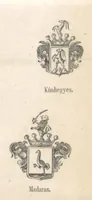 Picture 27 of 34 from Magyarország történeti, földirati s állami legujabb leirása. Köt. 1-4 (1852), leaf 465