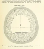 An illustration from The Colliery Manager's Handbook ... Second edition, revised, with additions (1893)