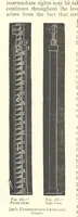 Picture 233 of 300 from The Colliery Manager's Handbook ... Second edition, revised, with additions (1893), leaf 538