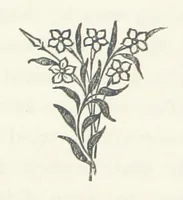 Picture 7 of 10 from Adam and Eve. [A novel (1881), leaf 160