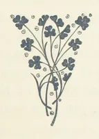 An illustration from Adam and Eve. [A novel (1881)