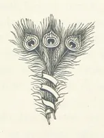 Picture 9 of 10 from Adam and Eve. [A novel (1881), leaf 274
