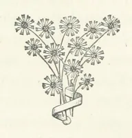 Picture 10 of 10 from Adam and Eve. [A novel (1881), leaf 418