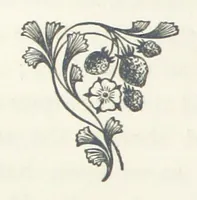 Picture 4 of 10 from Adam and Eve. [A novel (1881), leaf 66