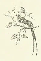An illustration from Children in Norway; or, Holiday on the Ekeberg. A book for boys and girls. By Pater. ... With ... drawings, etc (1884)