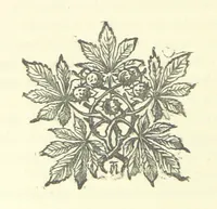 Picture 6 of 25 from Evelyn Howard: or, Early Friendships ... With ... illustrations (1875), leaf 106