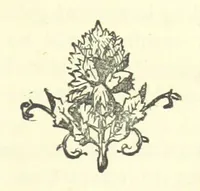 An illustration from Evelyn Howard: or, Early Friendships ... With ... illustrations (1875)