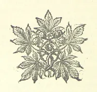 An illustration from Evelyn Howard: or, Early Friendships ... With ... illustrations (1875)